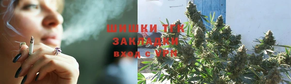 бошки Тында