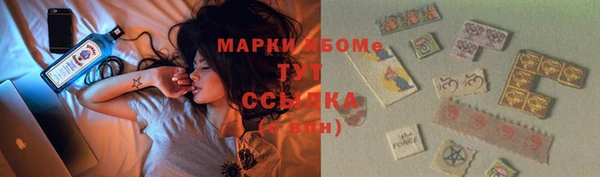 бошки Тында