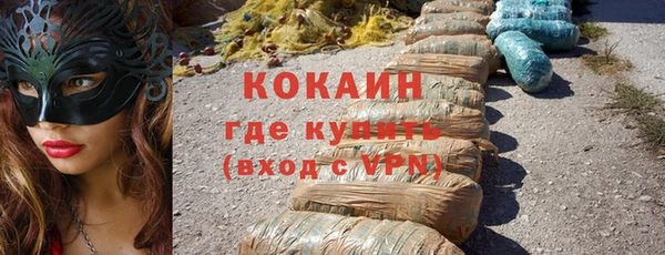 бошки Тында