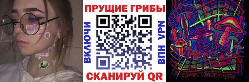 Псилоцибиновые грибы ЛСД Купить Алейск